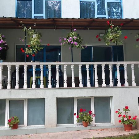 فندق Casa Albastra Drumu Carului المظهر الخارجي الصورة