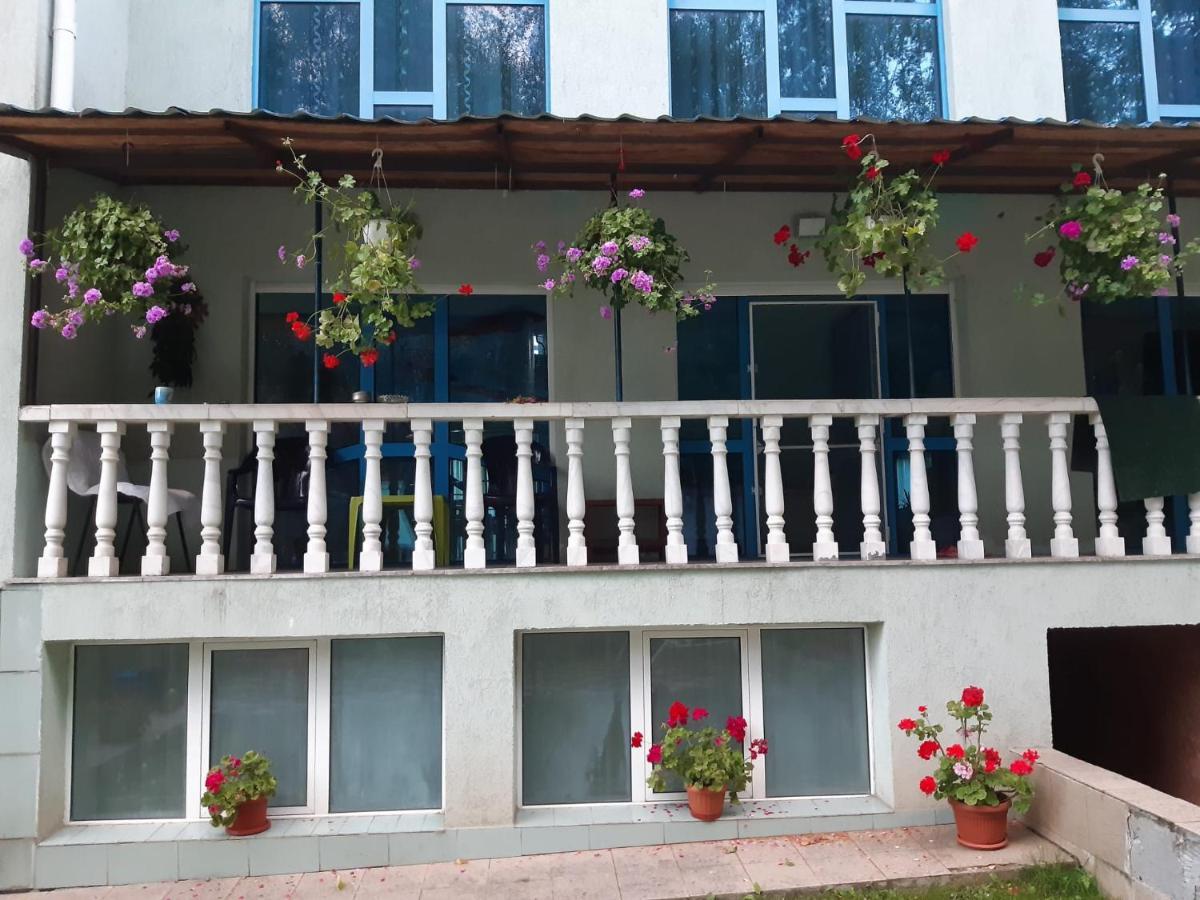 فندق Casa Albastra Drumu Carului المظهر الخارجي الصورة