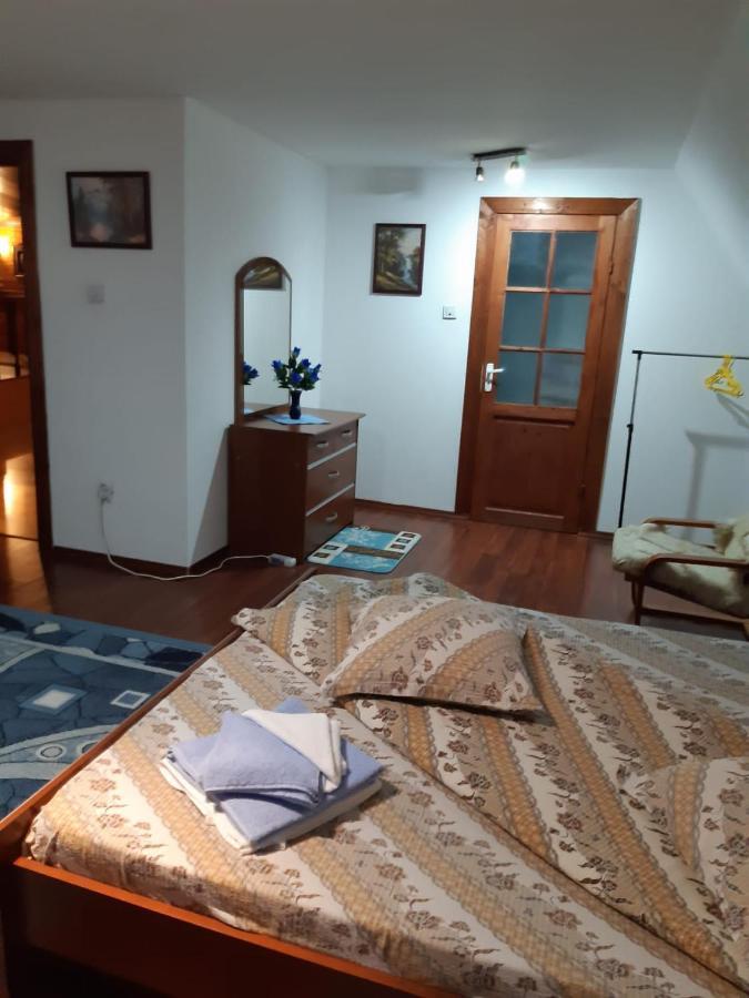 فندق Casa Albastra Drumu Carului المظهر الخارجي الصورة