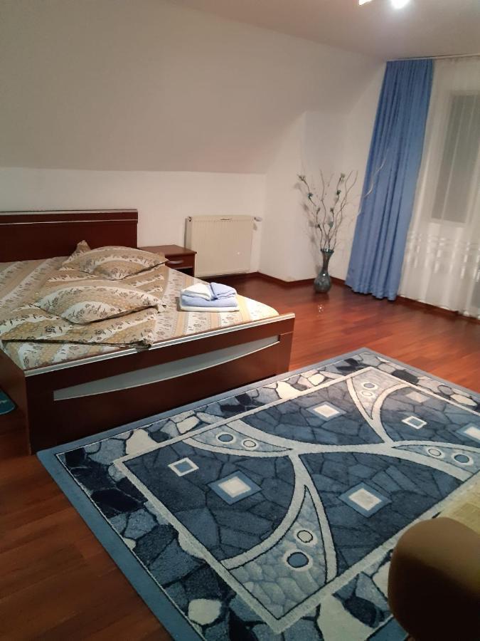 فندق Casa Albastra Drumu Carului المظهر الخارجي الصورة