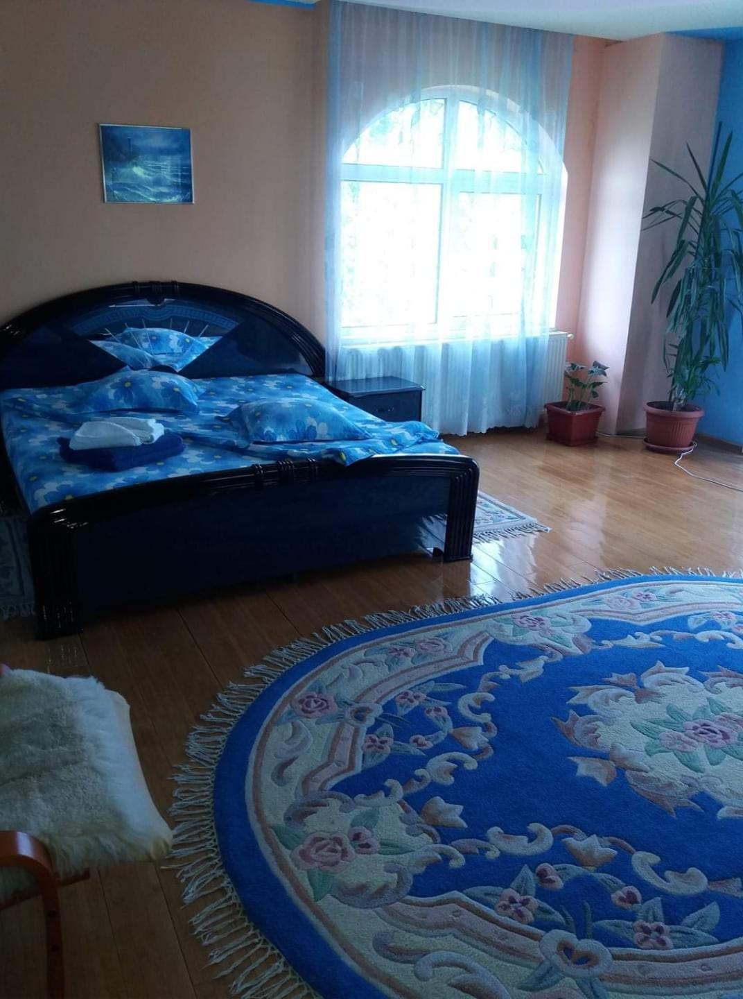 فندق Casa Albastra Drumu Carului الغرفة الصورة